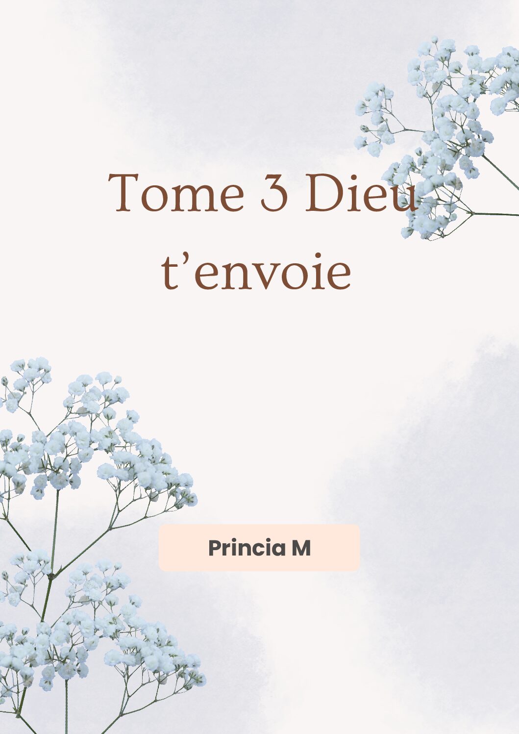 Comprendre ta saison de prière – Tome 3 : Dieu t’envoie